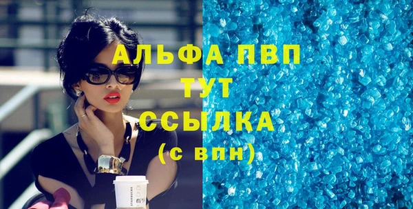 индика Аркадак