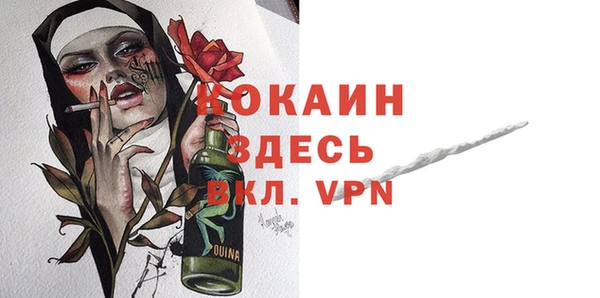 стаф Арсеньев