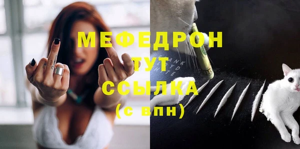 индика Аркадак