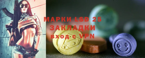индика Аркадак