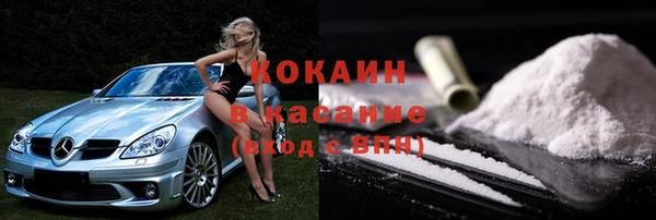 индика Аркадак