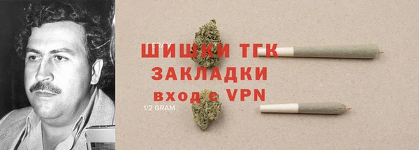 индика Аркадак