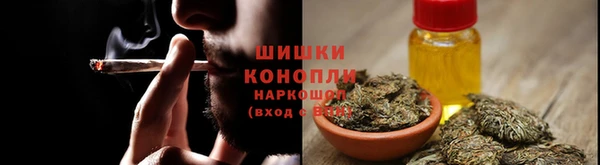 индика Балахна