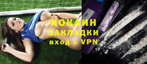стаф Арсеньев